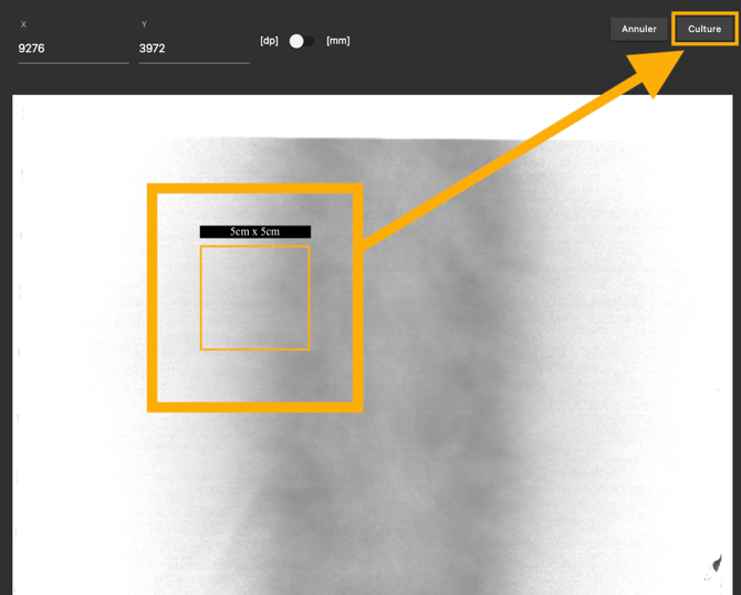 droplet select menu french