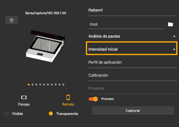 application profile capture spanish