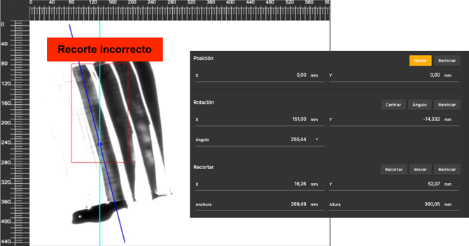 incorrect crop spanish